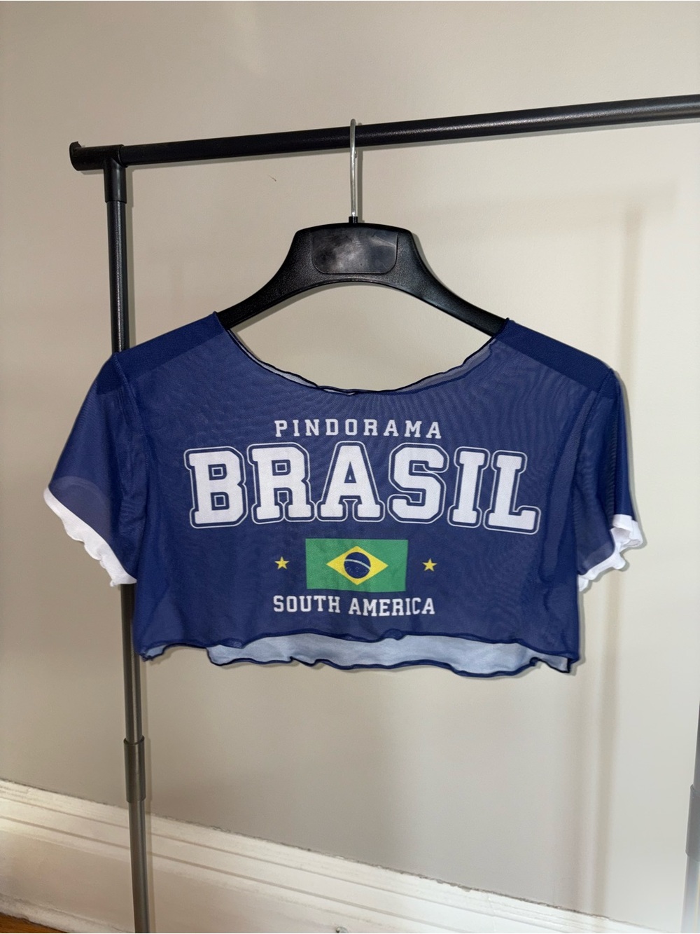 Source Unknown Blue Brasil Crop Top with Flag Graphic